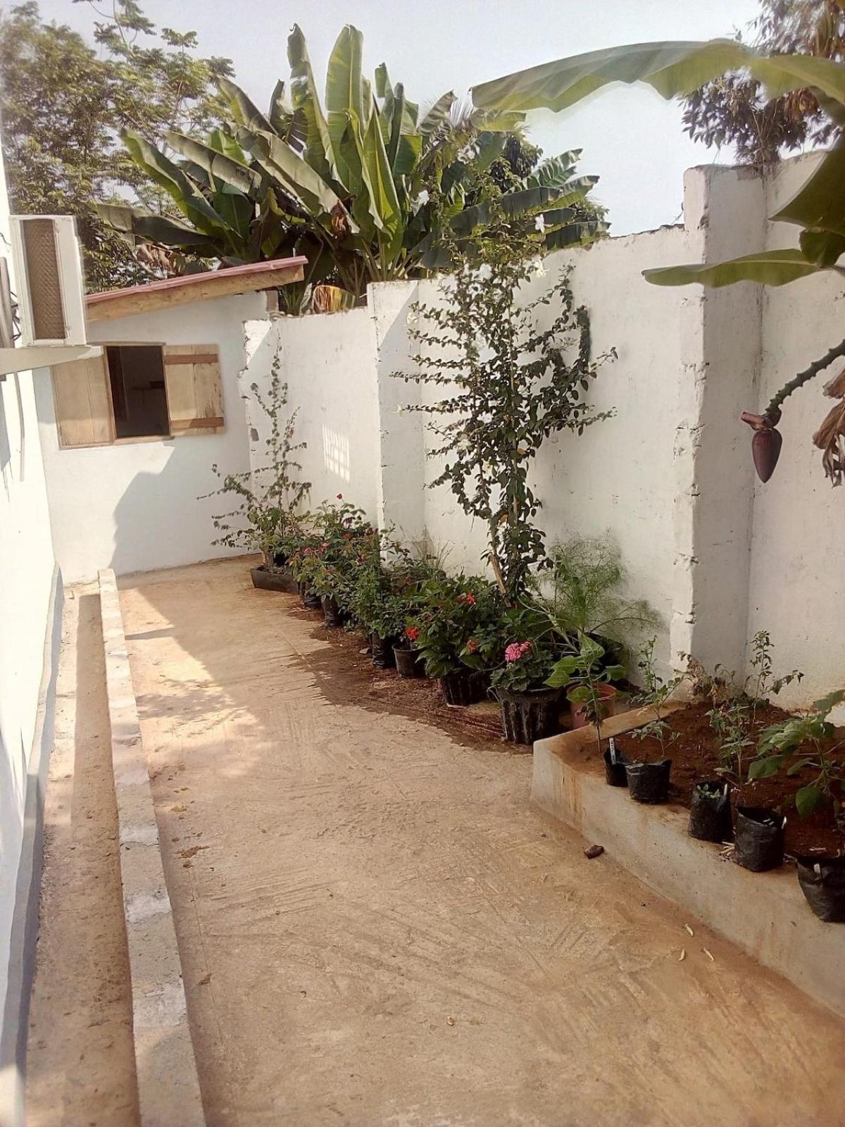 Airport Lodge Lungi Exterior foto
